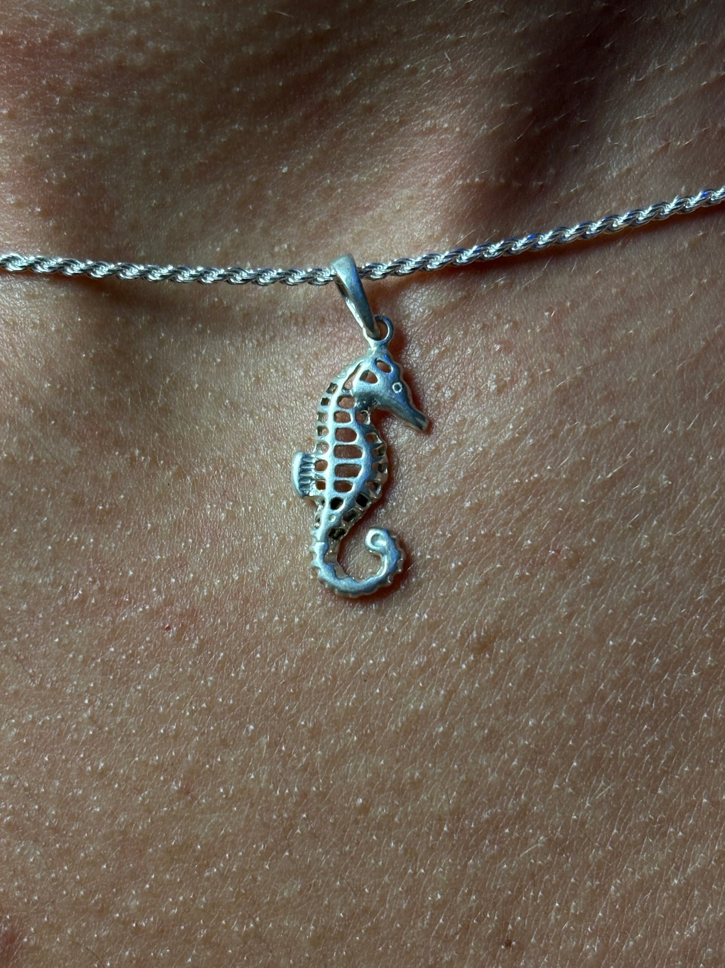 PINGENTE CAVALO MARINHO PRATA