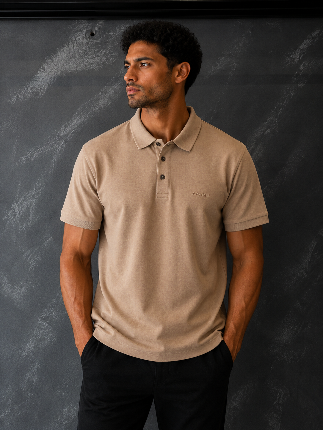 Camisa Polo Aramis Terra claro