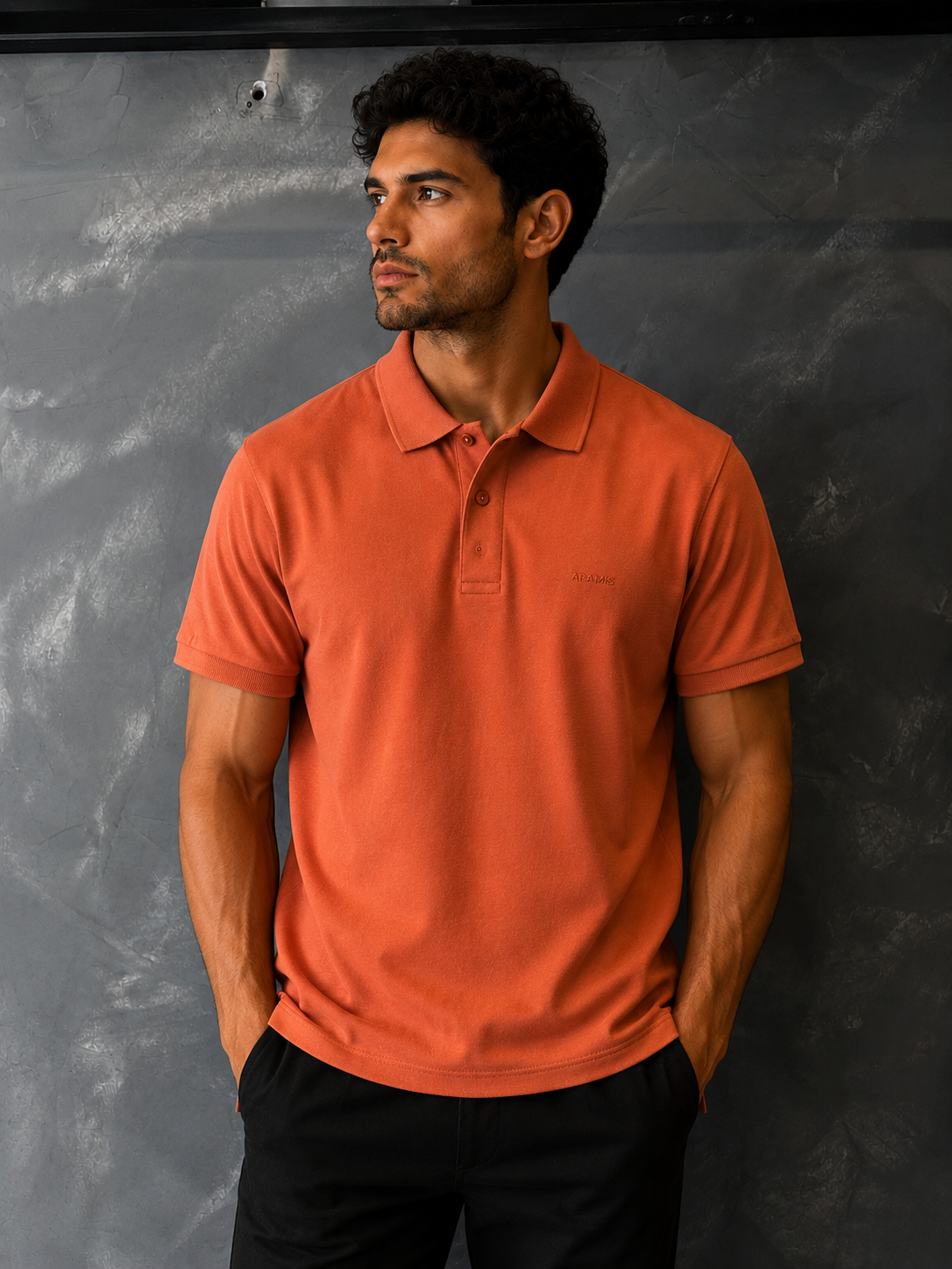 Camisa Polo Aramis Terra