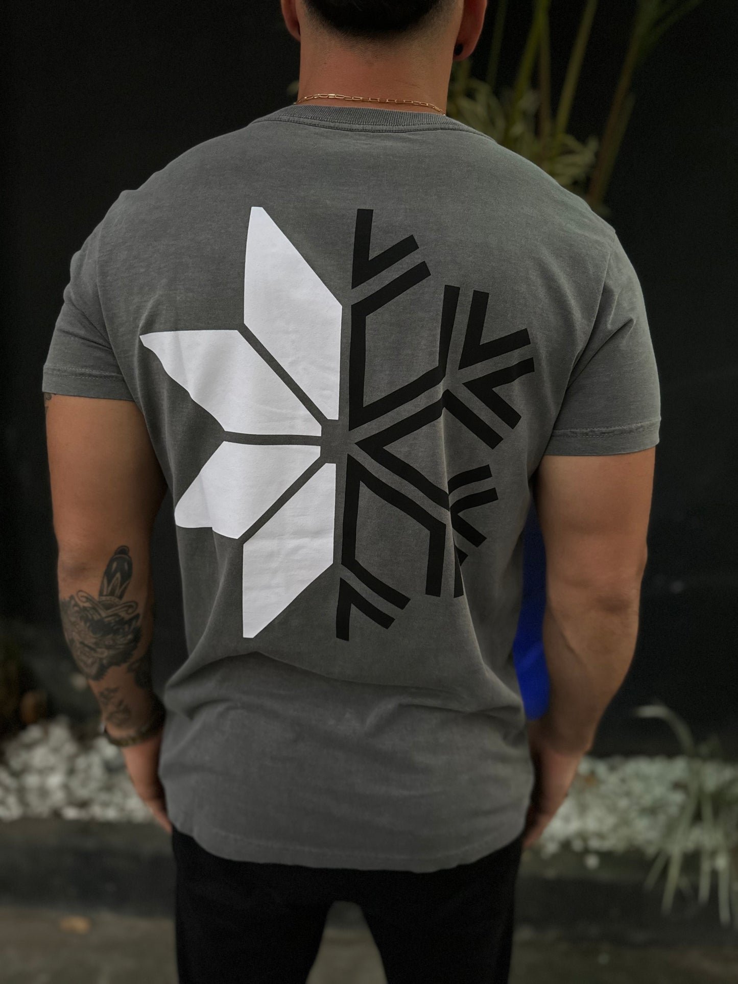 CAMISETA OSKLEN STONE - Cinza