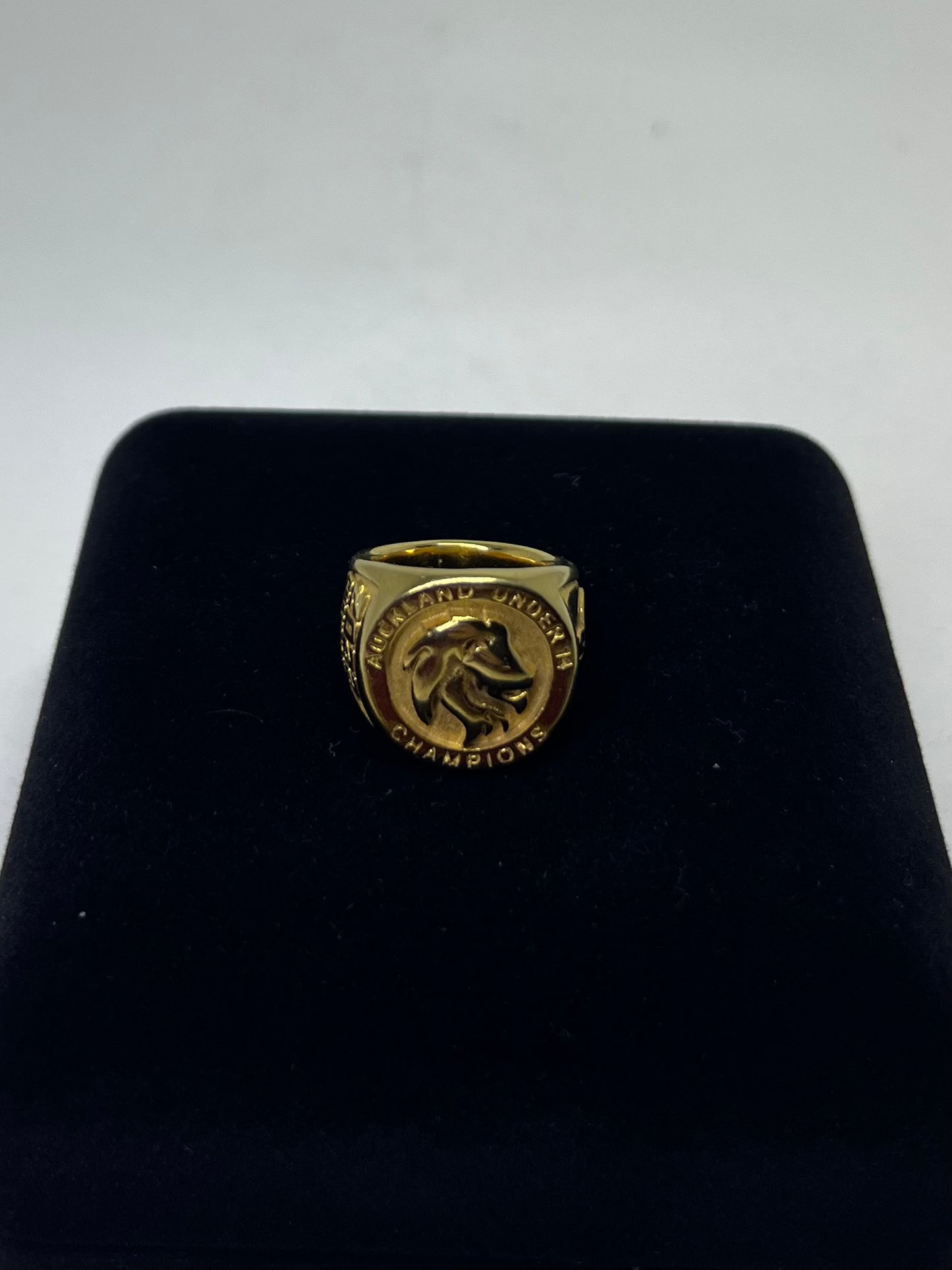 ANEL DOURADO BANHADO A OURO 21 CM