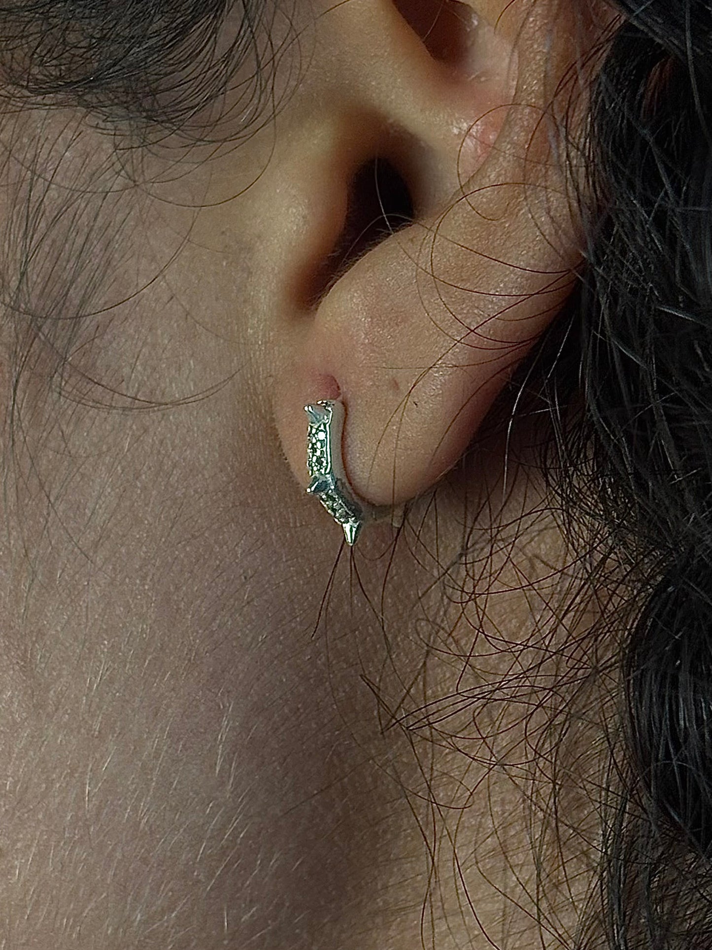 BRINCO DE PRATA | Cravejado Shine