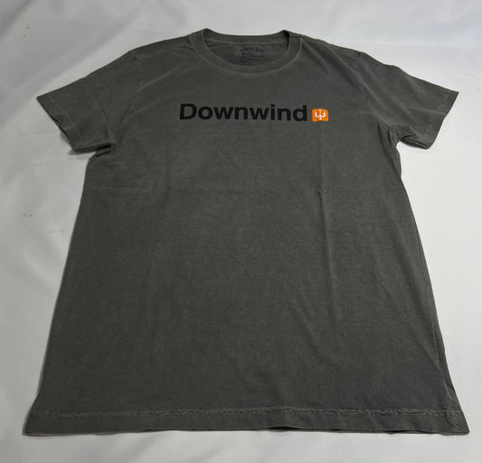 CAMISETA OSKLEN STONE - Cinza