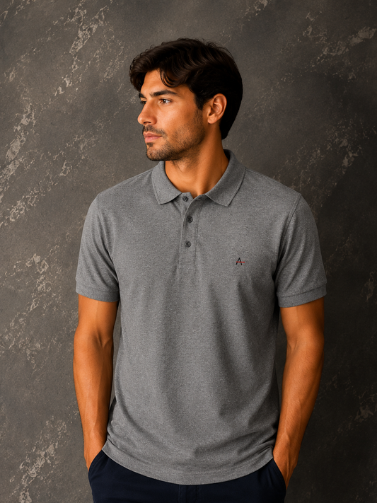 Camisa Polo Aramis Cinza escuro