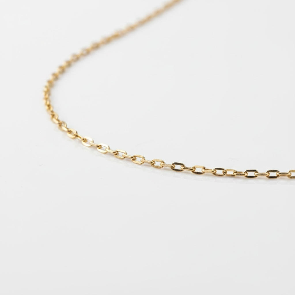 Cadeado + | corrente banhada a ouro 18K | 60cm