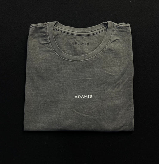 Camiseta Aramis| 100% Algodão - Cinza