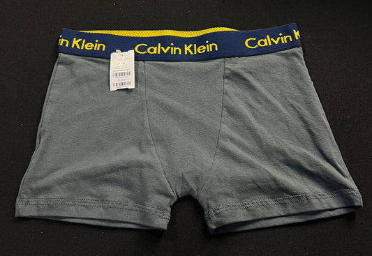 Cueca Calvin Klein | Cinza