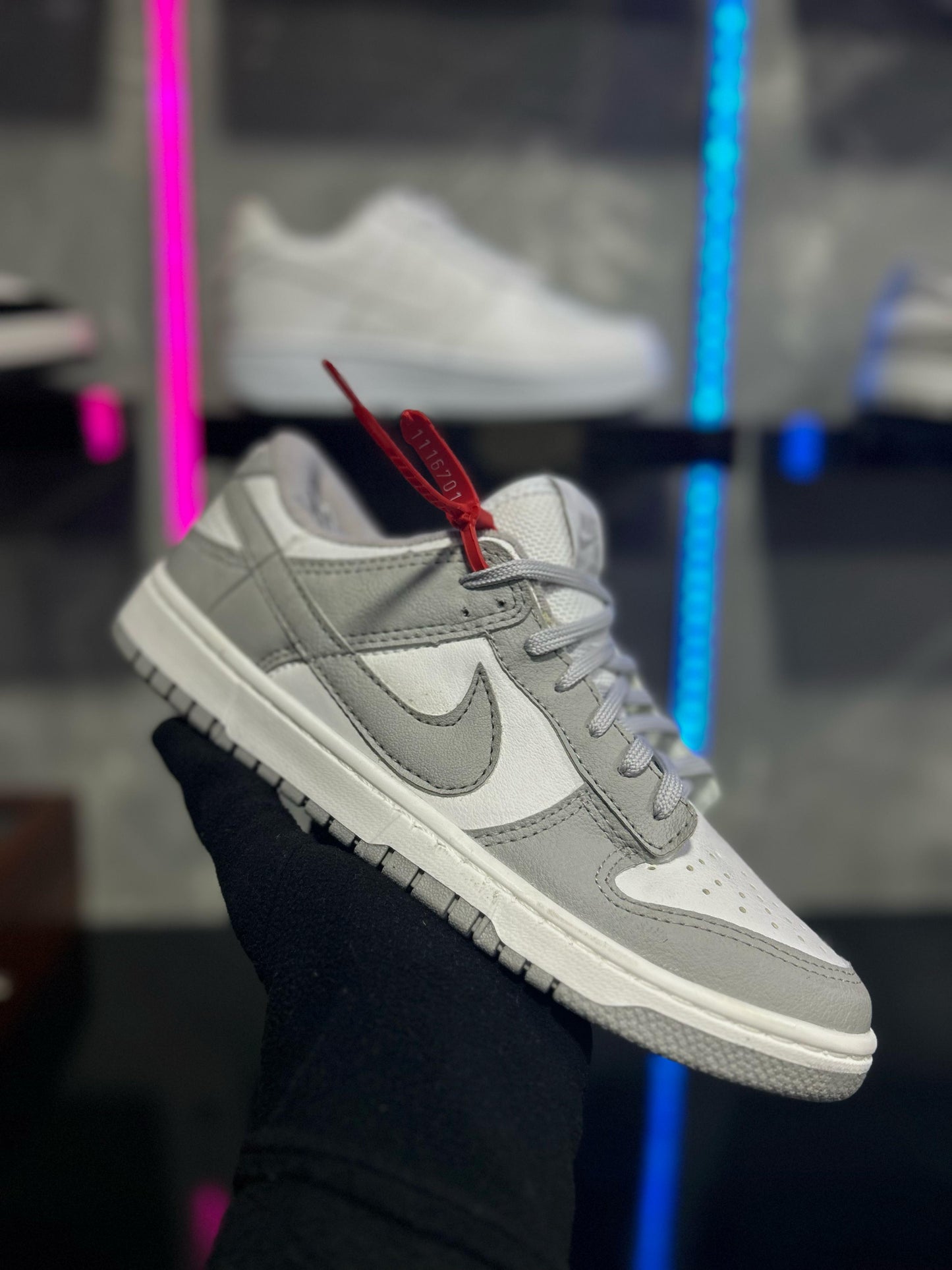 NIKE DUNK LOW PRO
