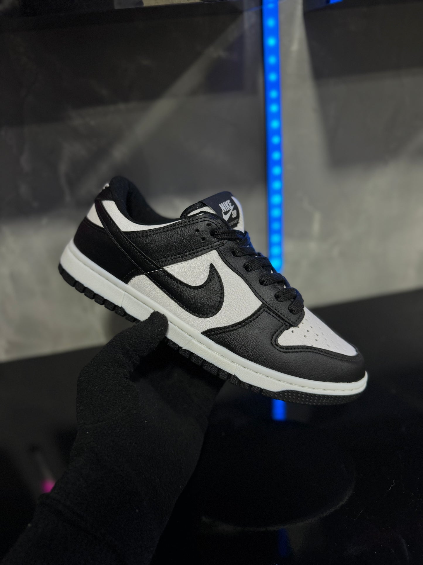 NIKE DUNK LOW PRO