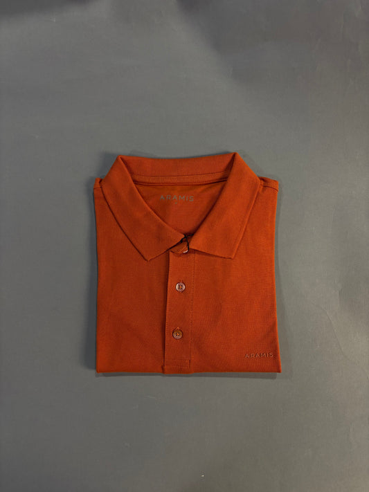 Camisa Polo Aramis | Piquet - Terra